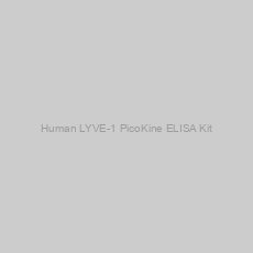Image of Human LYVE-1 PicoKine ELISA Kit